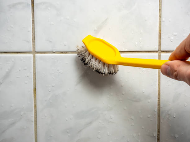 Best Same-Day Mold Removal  in Orida City, FL